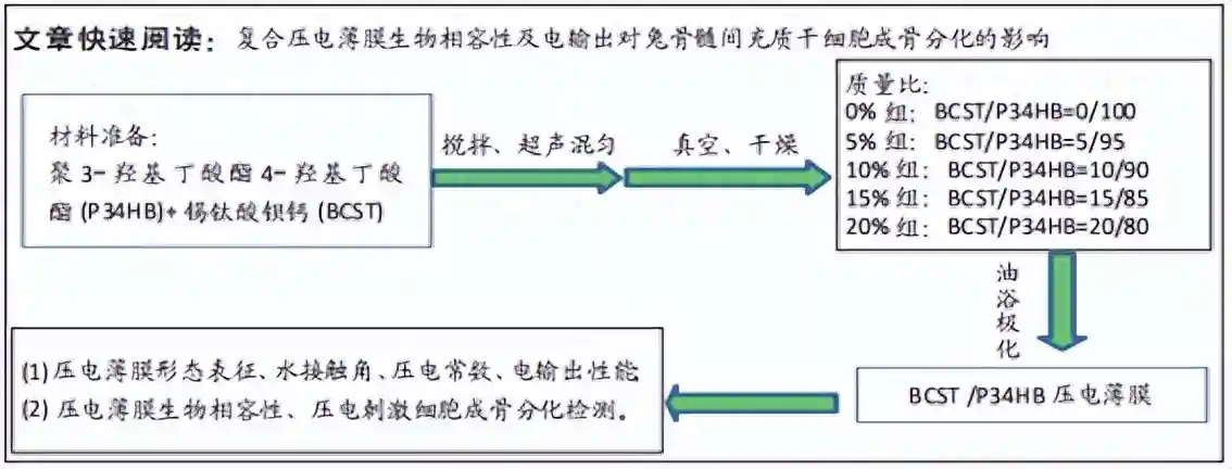 复合压电薄膜生物相容性及电输出性能与兔骨髓间充质干细胞的成骨分化