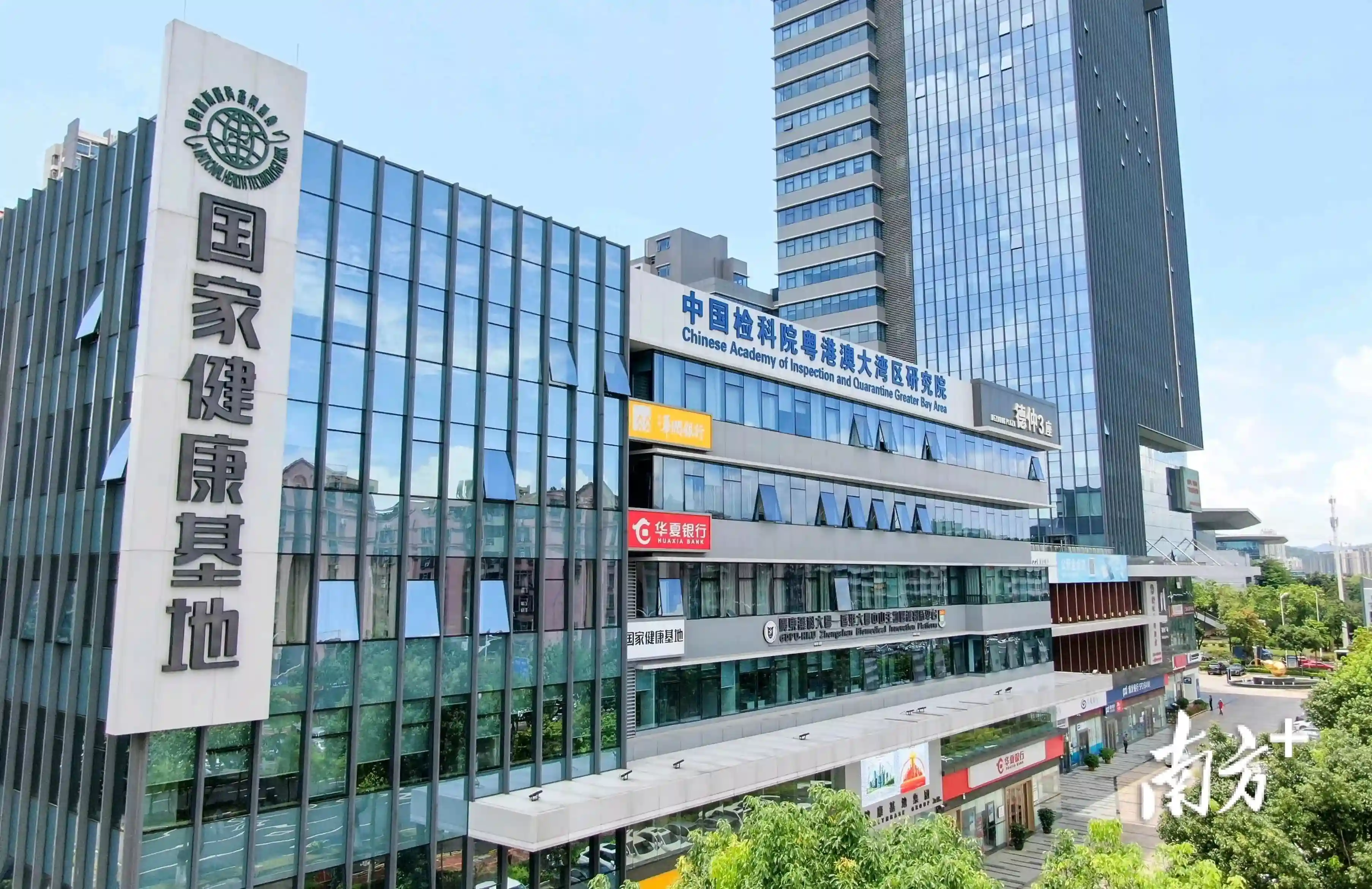 领航生物医药舰队，中山火炬区如何造“新”势？