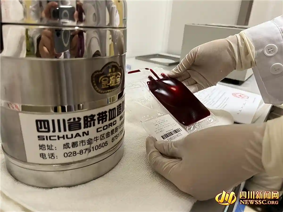 苦等12年 弟弟的脐带血助哥哥“脱贫”