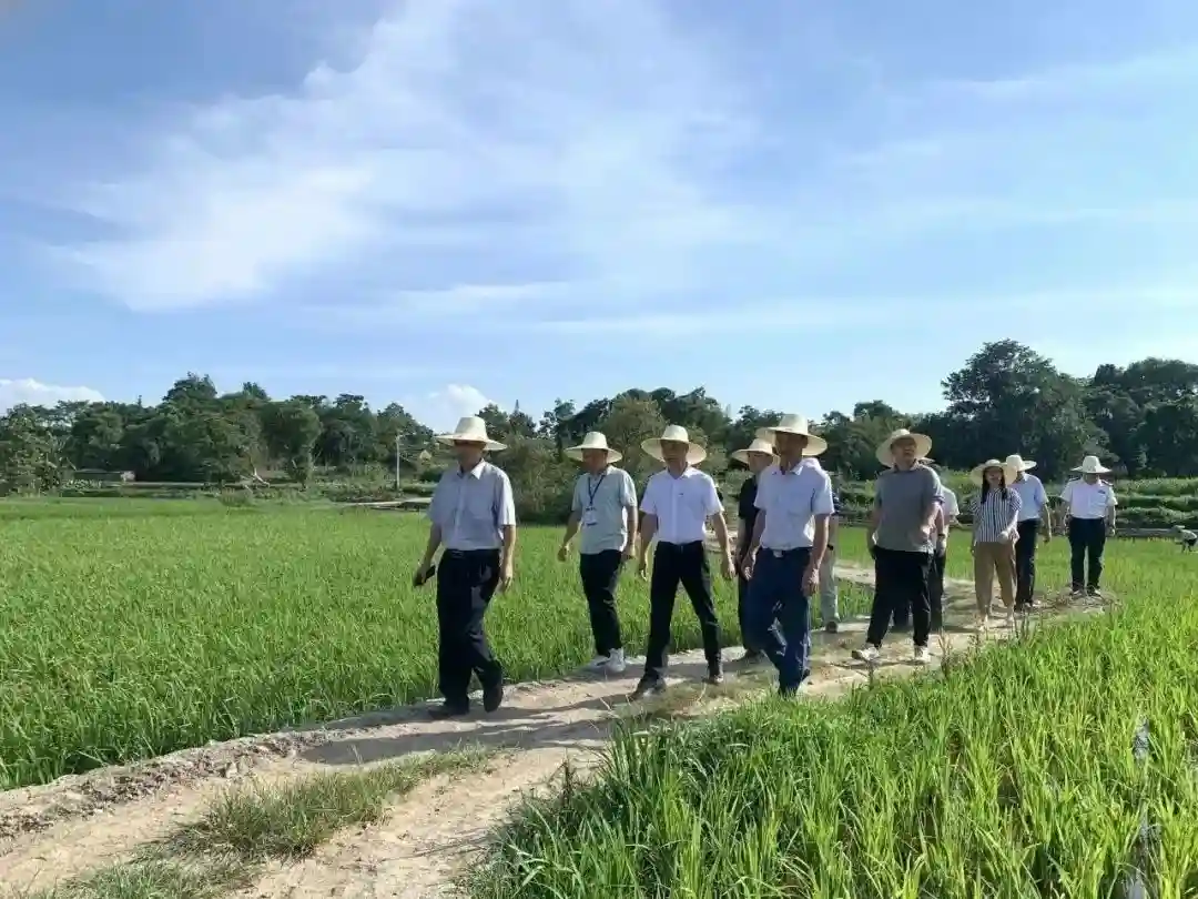 为群众办实事｜帮扶、救援、提效……交通人暖心一“夏”！