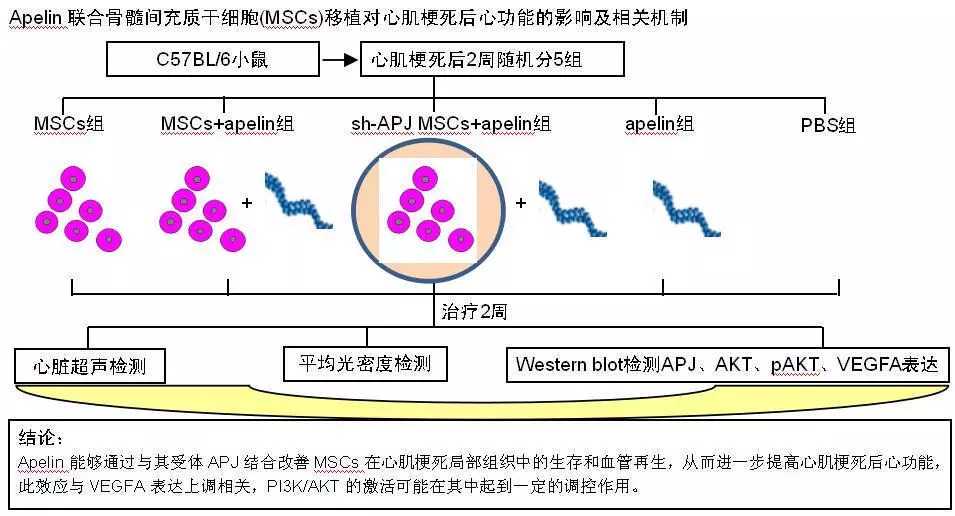 赣州第15例造血干细胞捐献志愿者顺利归来
