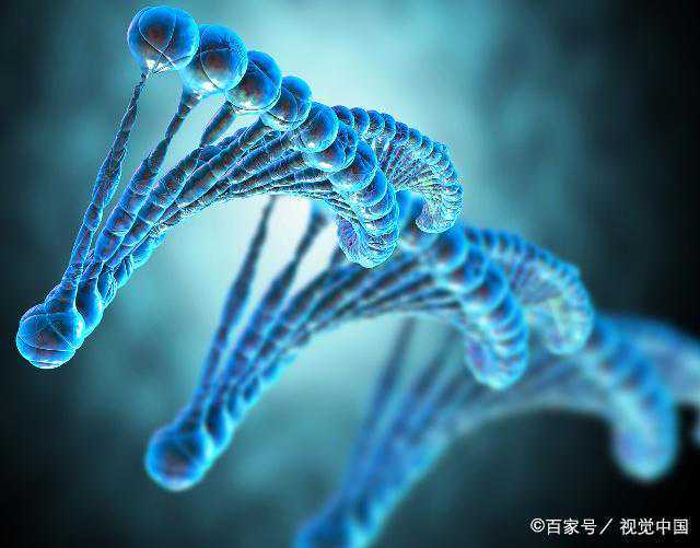 西湖大学科研团队首次证实细菌在乳腺癌转移过程中起重要作用