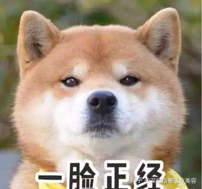 马斯克竟是“复仇”关键:众多格斗高手无偿指点 只因看不惯扎克伯格