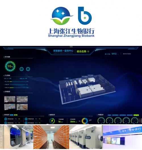 成骨or成软骨？ECM刚度或可影响干细胞命运